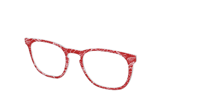 The Red Wings® Ice