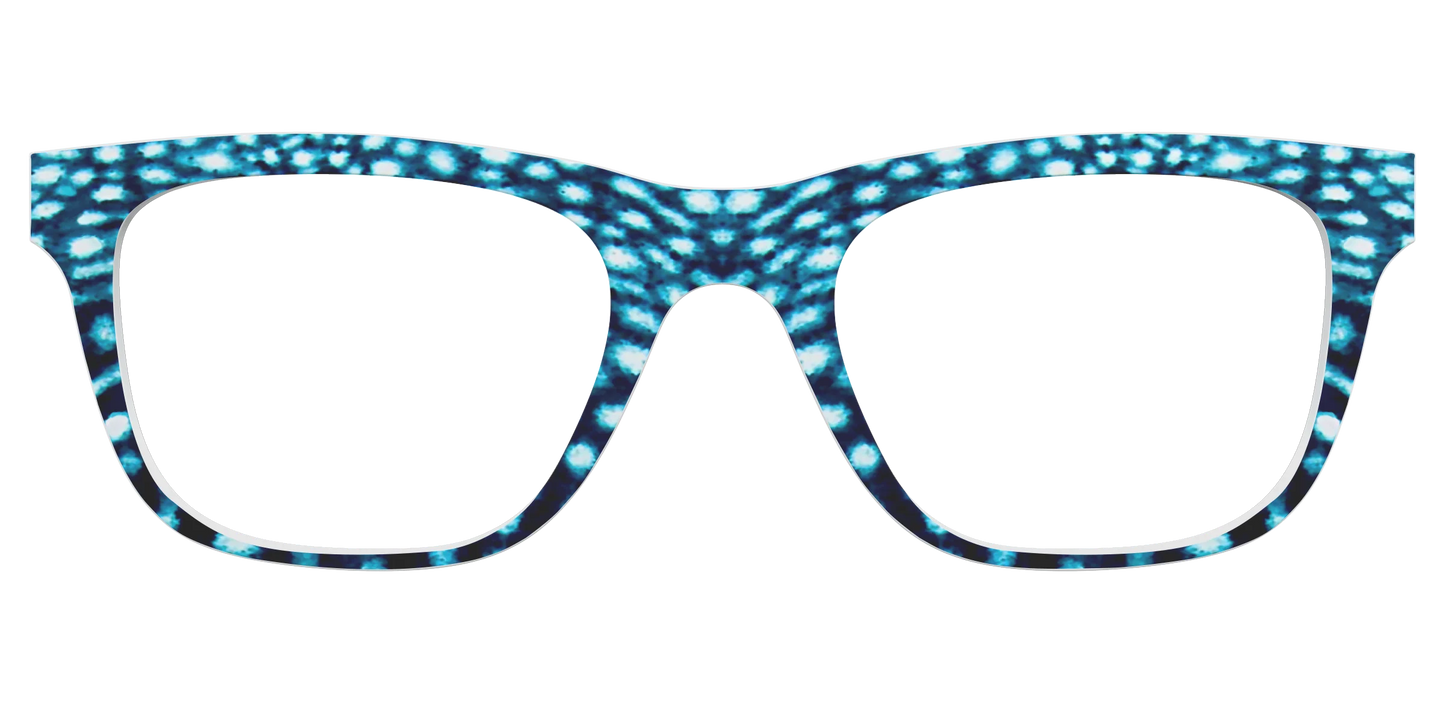 The Whale Shark Spots