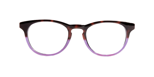 The Purple Tortoise