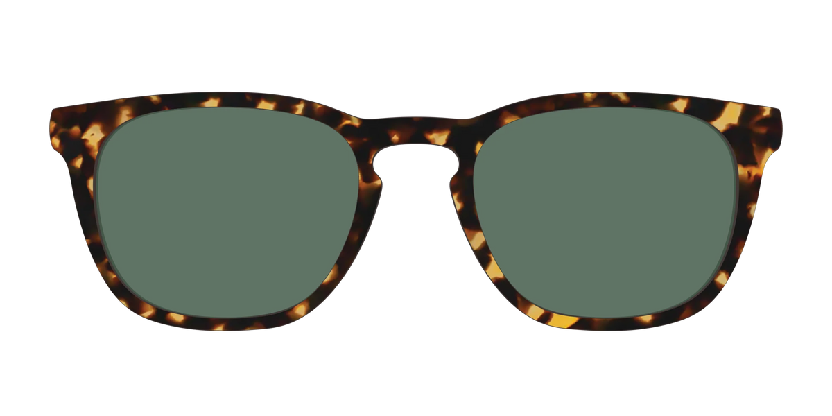 The Non-Polarized Green Tortoise Sun Top