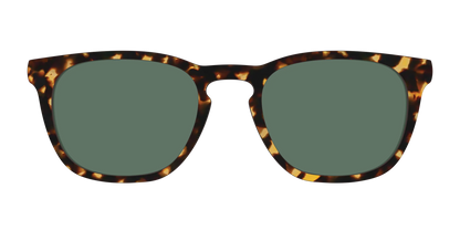 The Non-Polarized Green Tortoise Sun Top