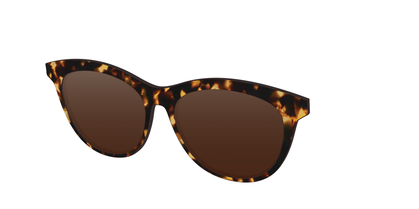 The Polarized Tortoise Sun Top