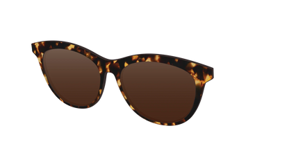 The Polarized Tortoise Sun Top