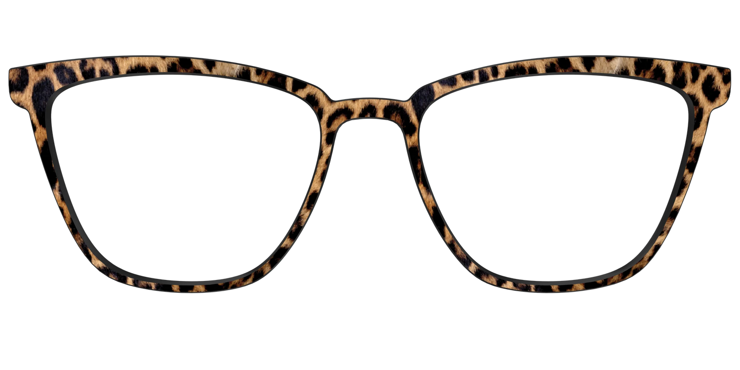 The Cheetah Spots