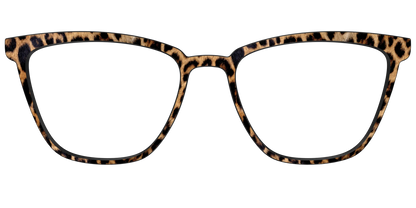 The Cheetah Spots