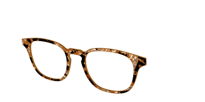 The Caramel Pearl Tortoise