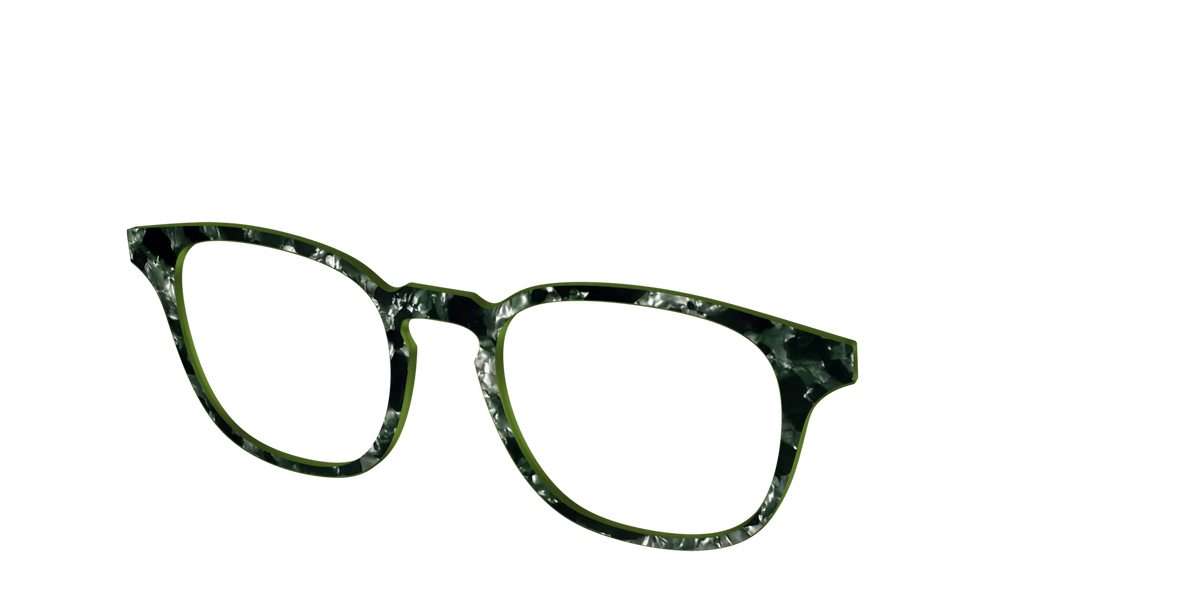 The Olive Pearl Tortoise
