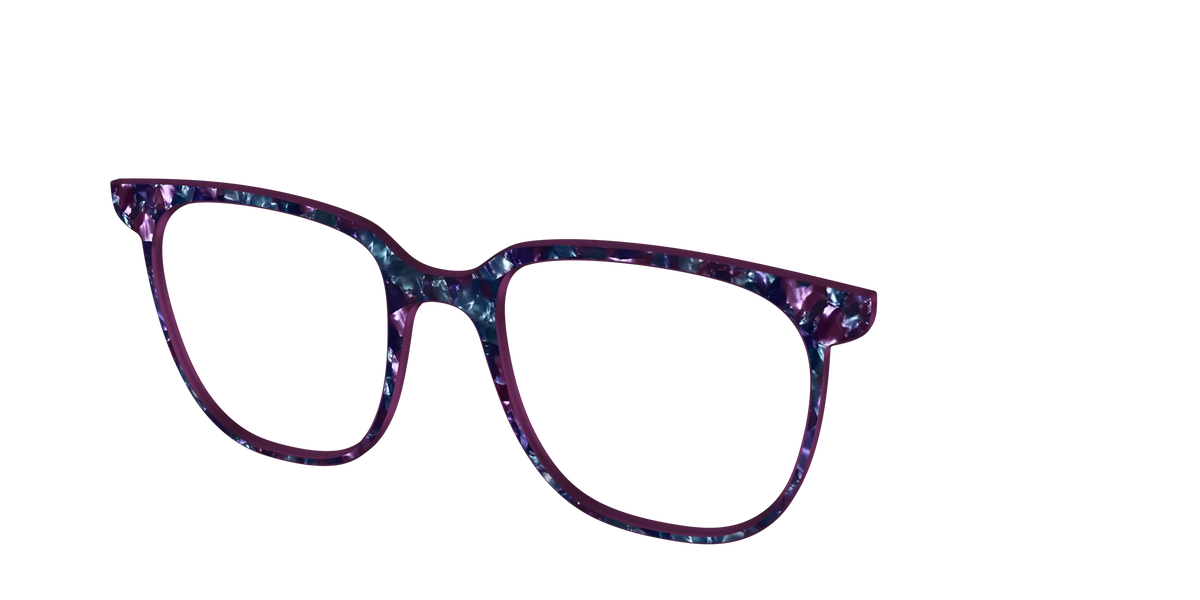 The Black Opal Pearl Tortoise