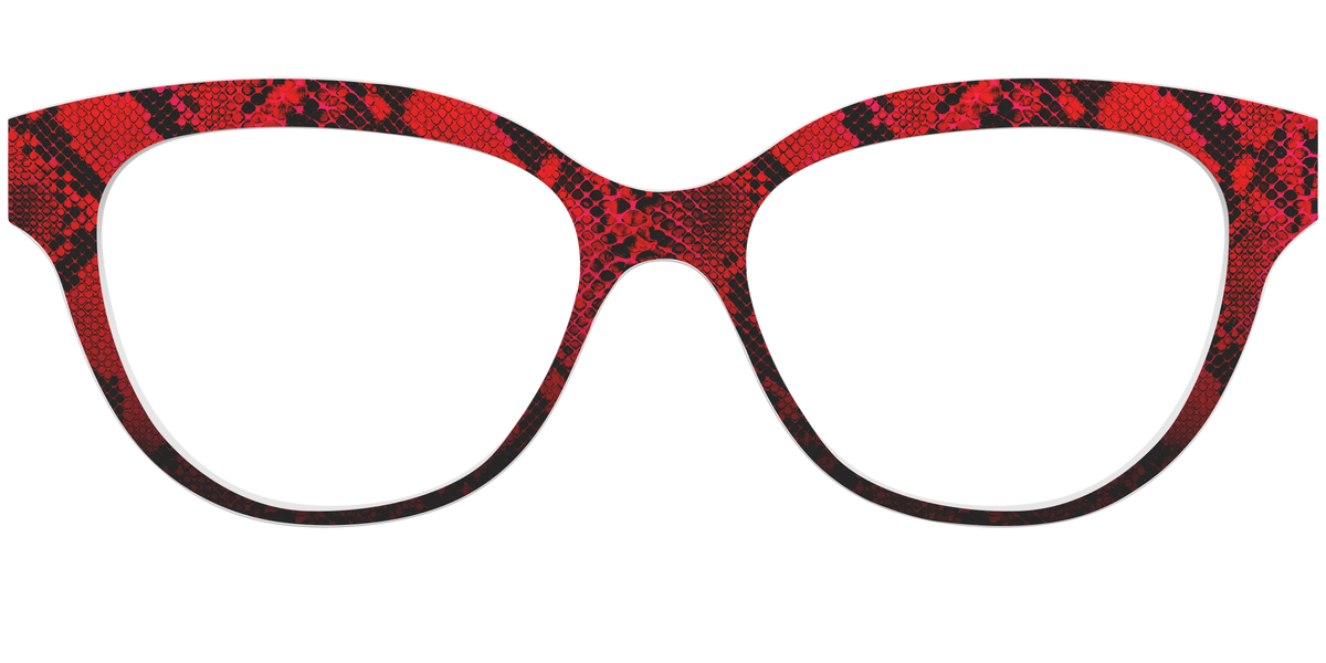 The Statement Snakeskin