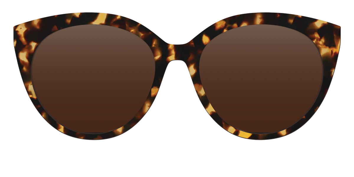 The Polarized Tortoise Sun Top