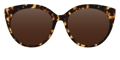 The Polarized Tortoise Sun Top