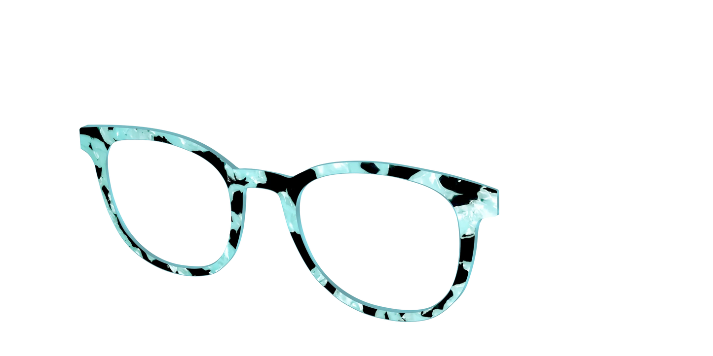 The Robin's Egg Pearl Tortoise