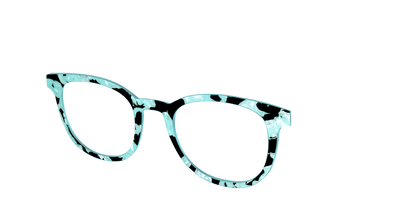 The Robin's Egg Pearl Tortoise