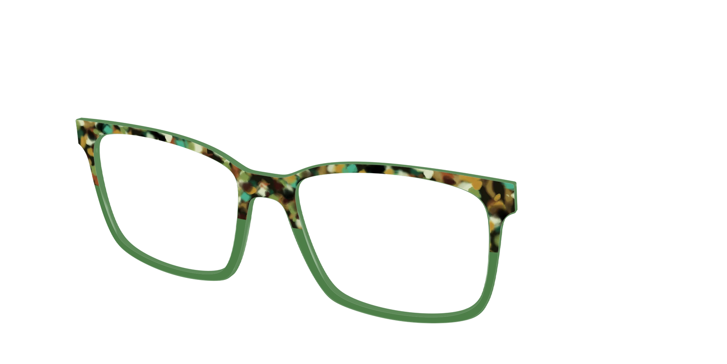 The Forest Tortoise Crystal Split