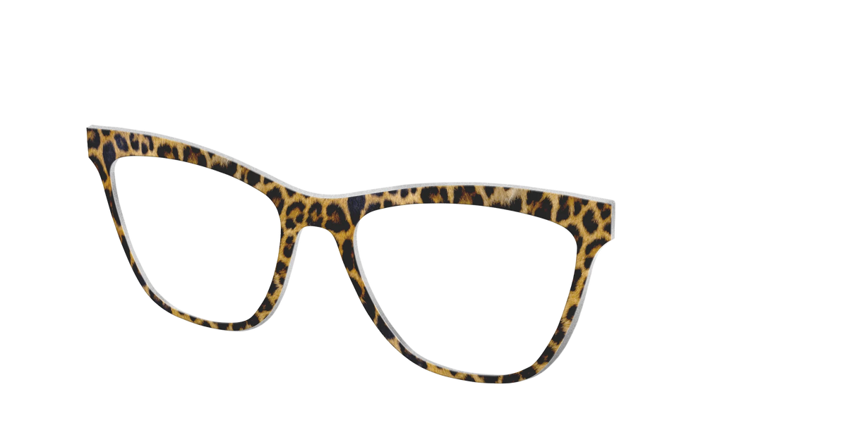 The Cheetah Spots