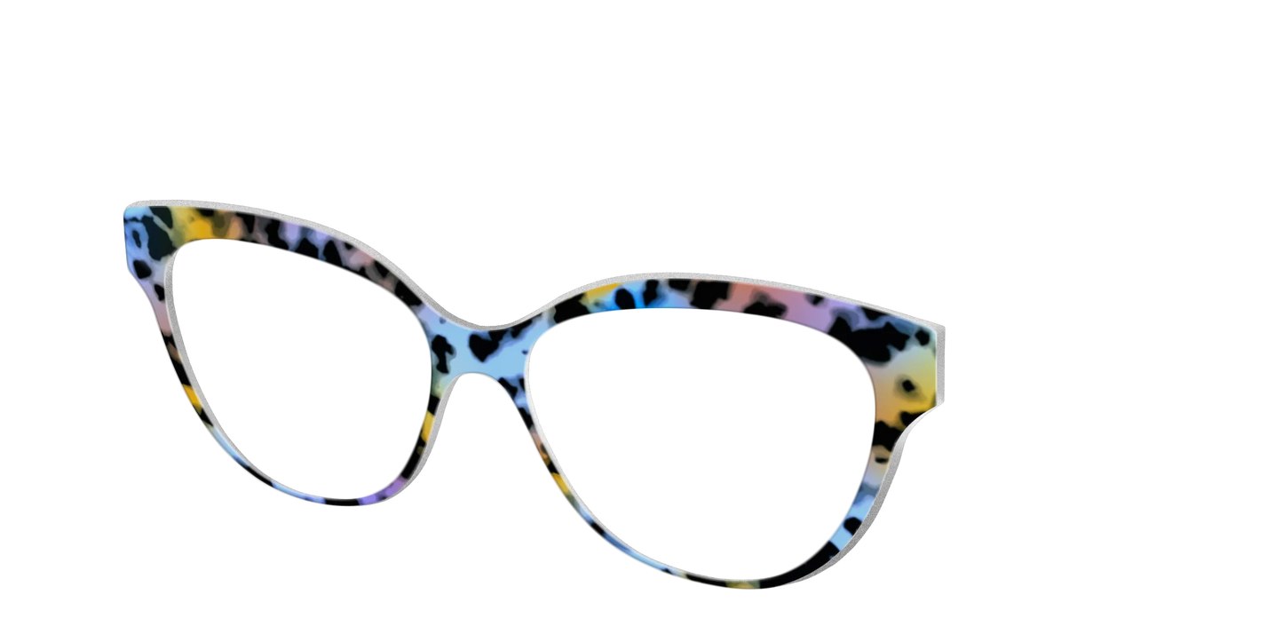 The Positano Tortoise