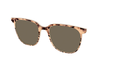 The Polarized Bisque Tortoise Split Sun Top
