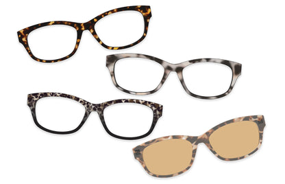 The Everyday Tort Set