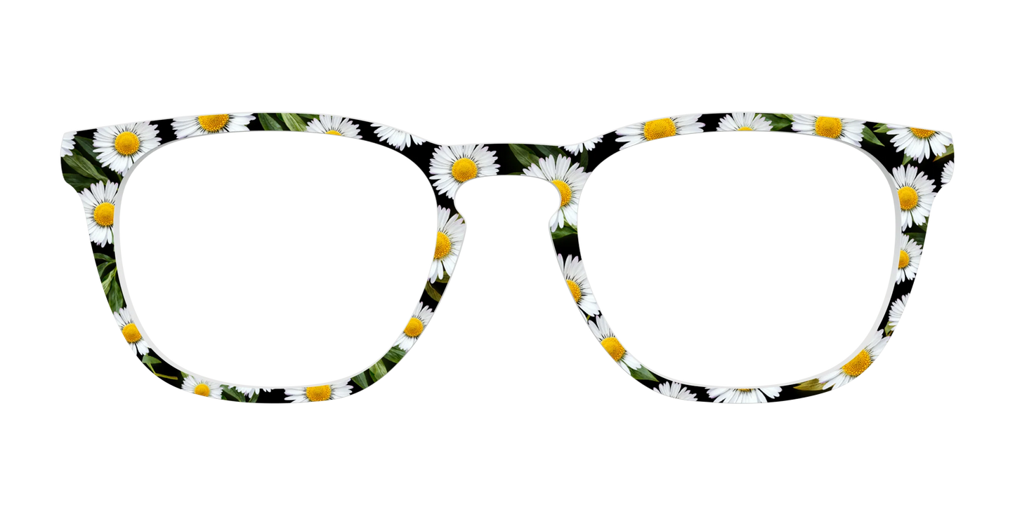 The Delicate Daisies