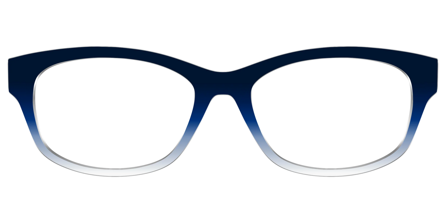 The Navy to White Gradient
