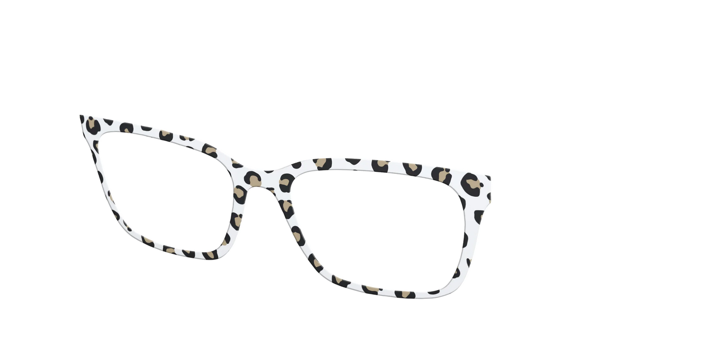 The Classic Cheetah