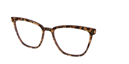 The Sandalwood Tortoise with Gold Foil