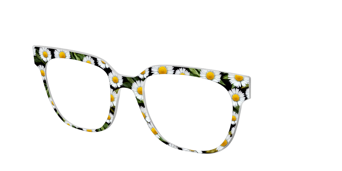 The Delicate Daisies