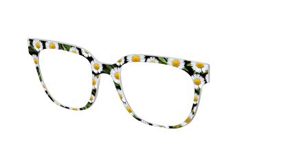 The Delicate Daisies
