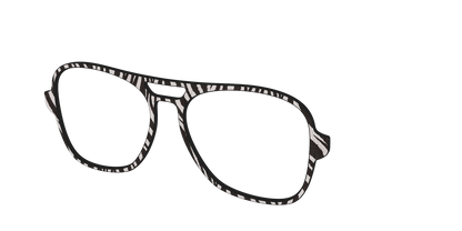 The Zebra Stripes
