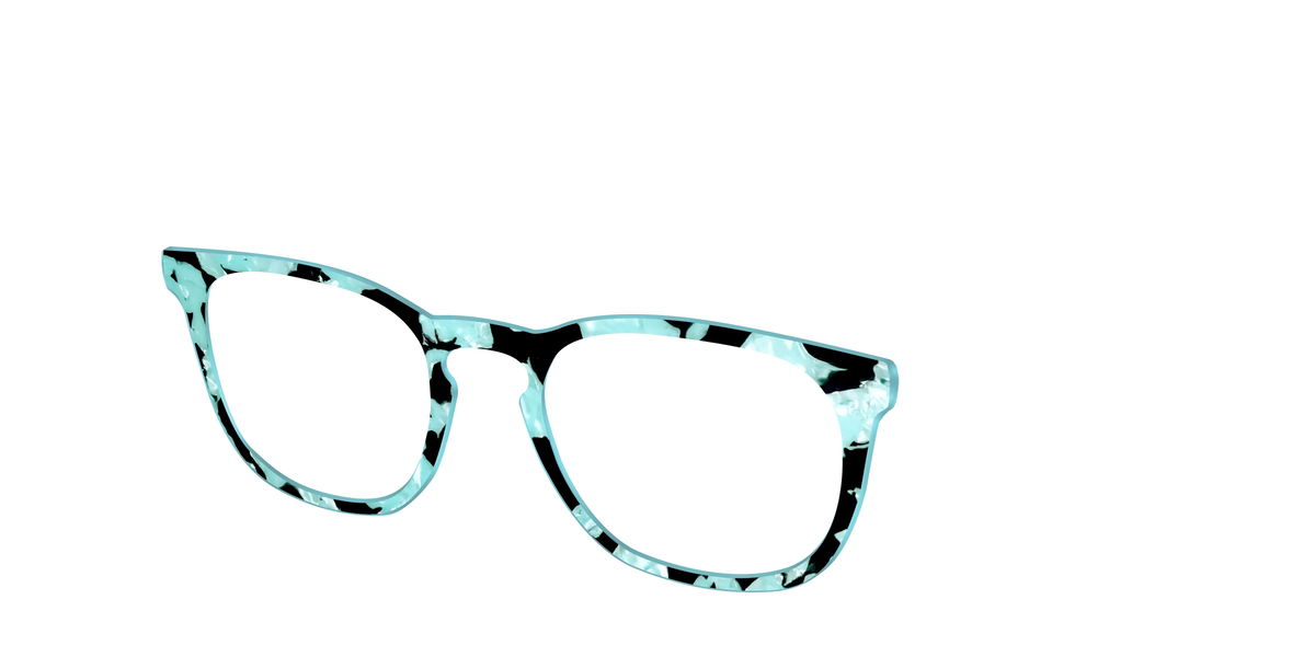 The Robin's Egg Pearl Tortoise