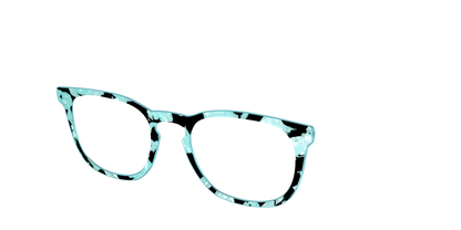 The Robin's Egg Pearl Tortoise