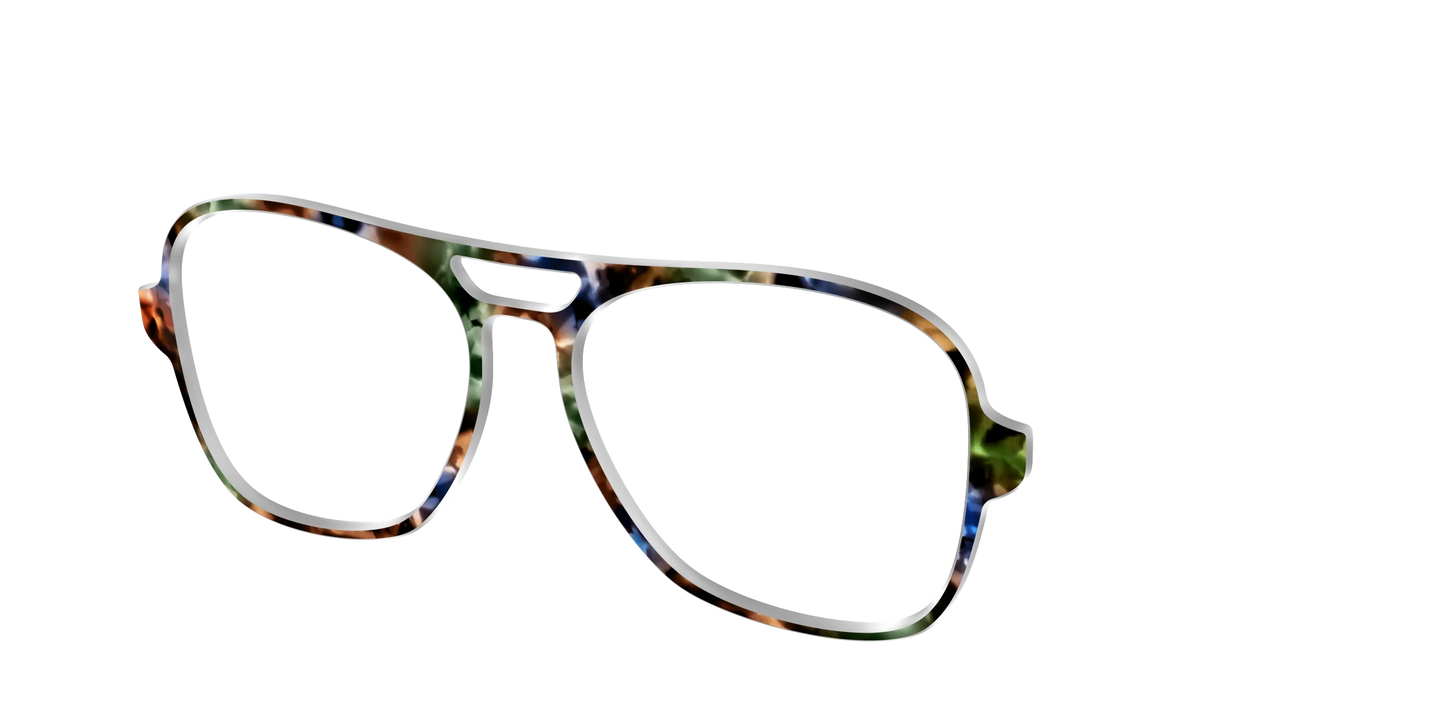 The Hearthside Tortoise
