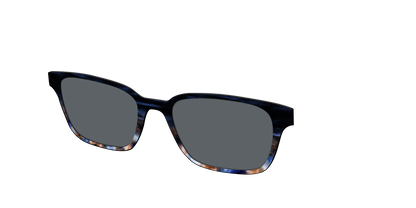 The Polarized Blue Horn Tortoise Sun Top