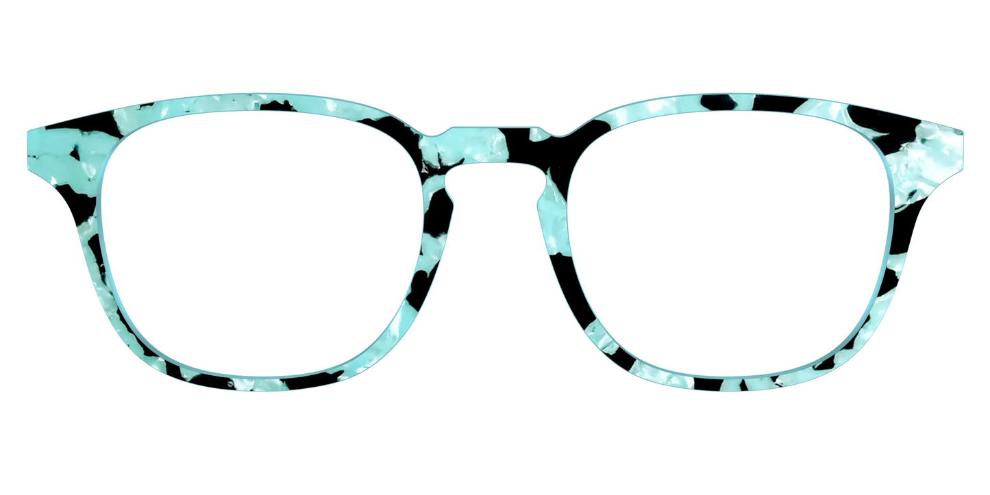 The Robin's Egg Pearl Tortoise