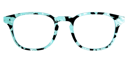 The Robin's Egg Pearl Tortoise