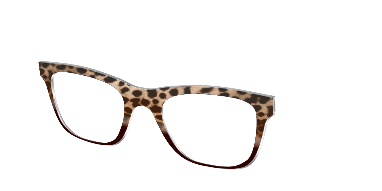 The Jungle Cat Tortoise