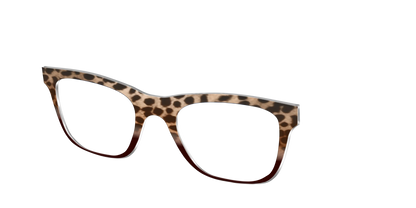 The Jungle Cat Tortoise