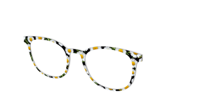 The Delicate Daisies