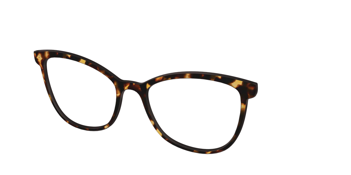 The Tortoise