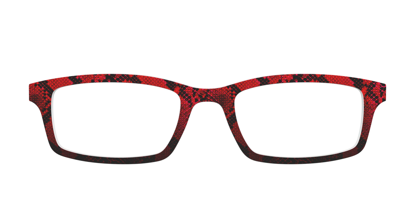 The Statement Snakeskin