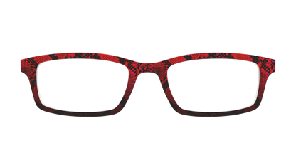 The Statement Snakeskin
