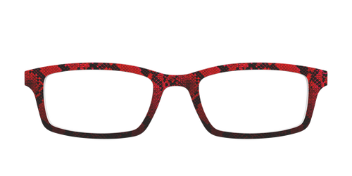 The Statement Snakeskin