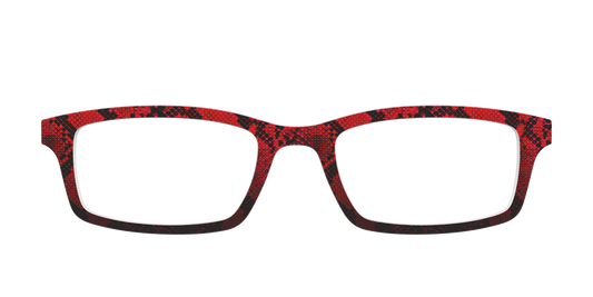 The Statement Snakeskin