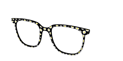 The Black Daisy