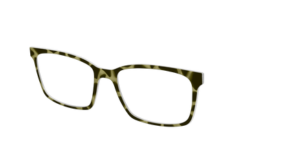 The Olive Tortoise
