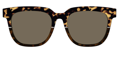 The Polarized Chic Tortoise Split Sun Top