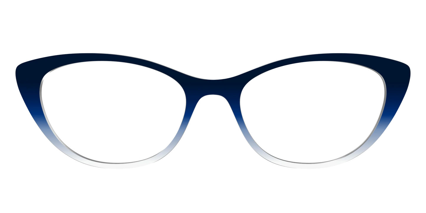 The Navy to White Gradient