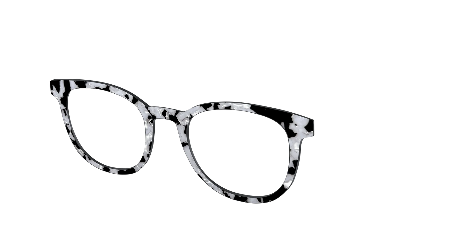 The Black & White Pearl Tortoise