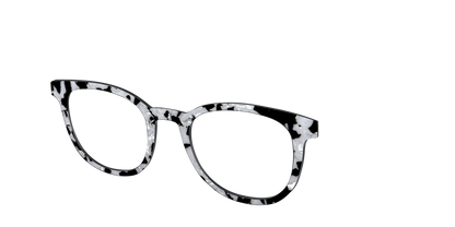 The Black & White Pearl Tortoise