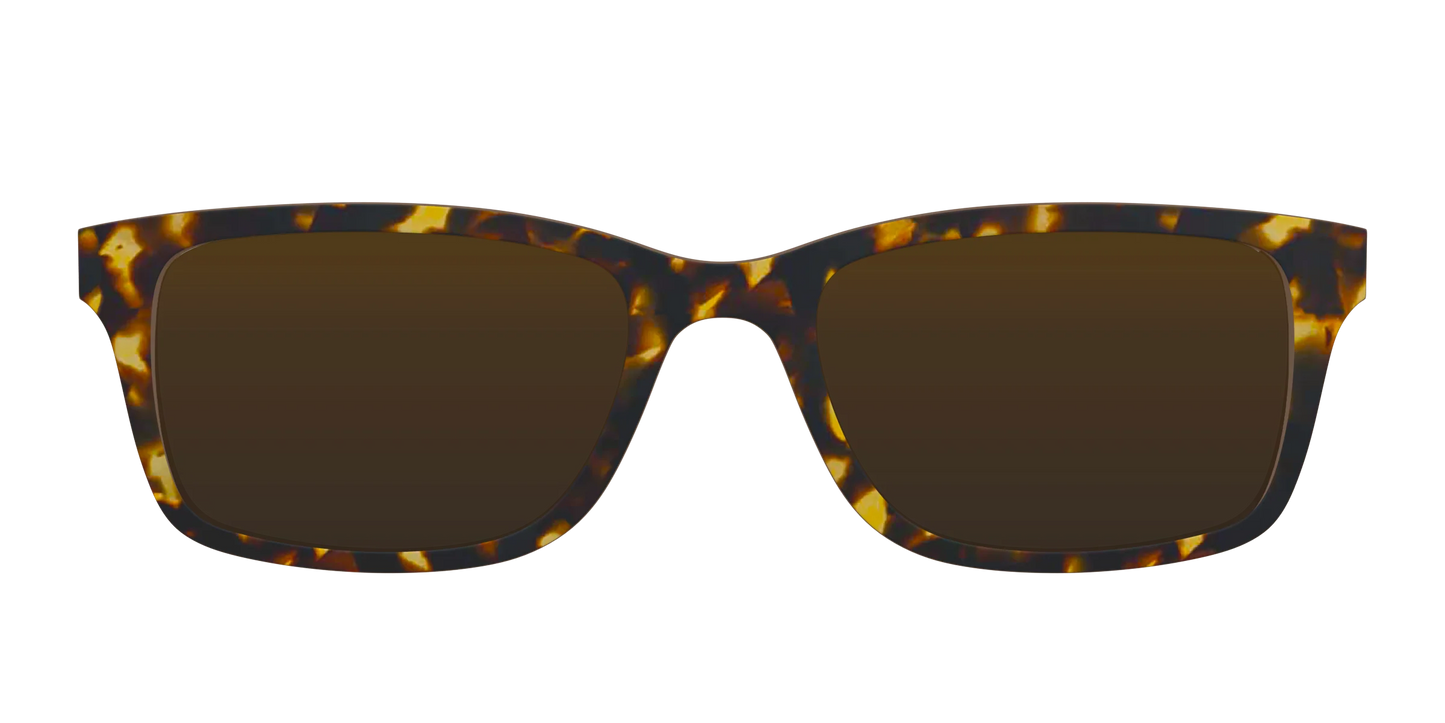 The Polarized Tortoise Sun Top